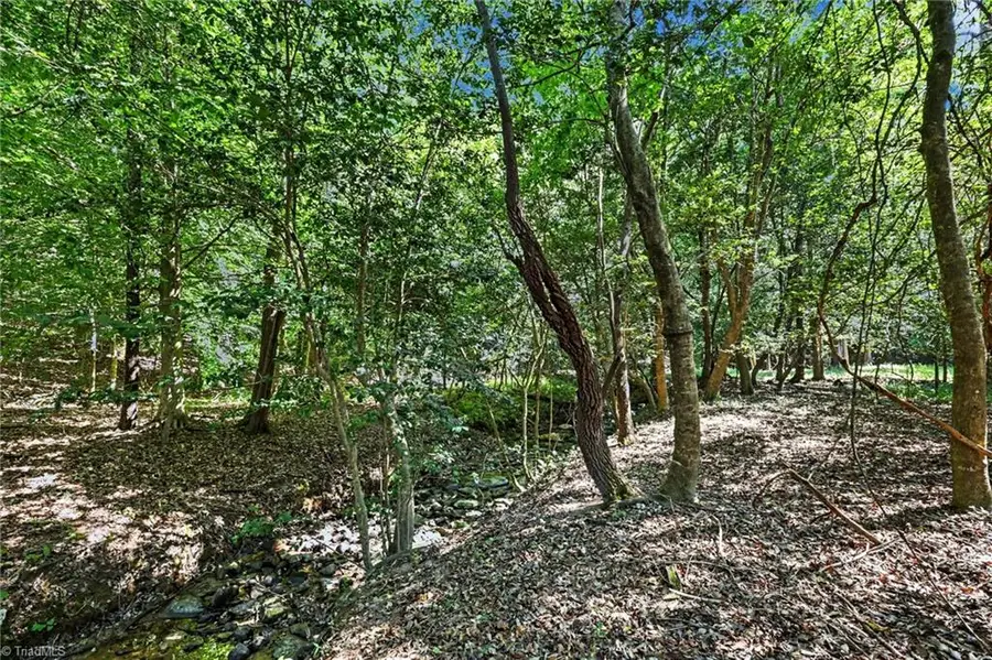 3883 Millikan Farm Road, Franklinville, NC 27248 - #3