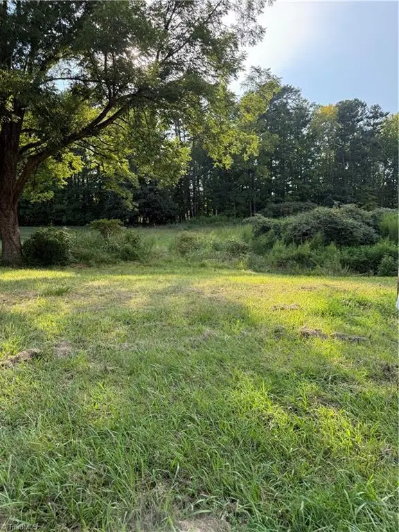 0 Turtle Lake Bend, Randleman, NC 27317 - #2