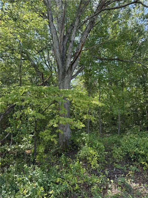 00000 Mizpah Church Road, Reidsville, NC 27320 - #2
