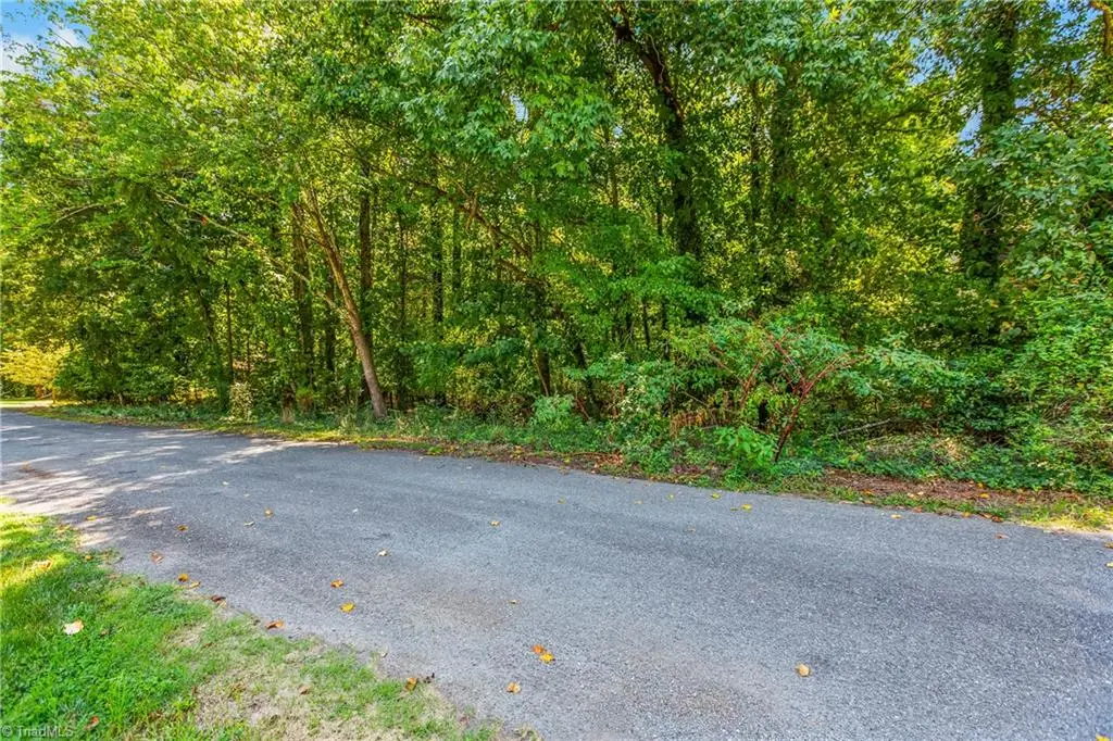 0 Alma Drive, Winston Salem, NC 27105 - #1