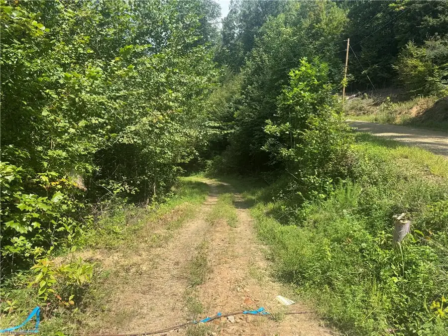 TBD Stony Fork Road, Ferguson, NC 28624 - #2