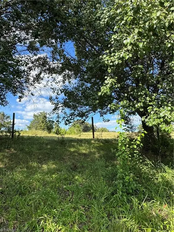 4415 Alamance Church Road, Liberty, NC 27298 - #3