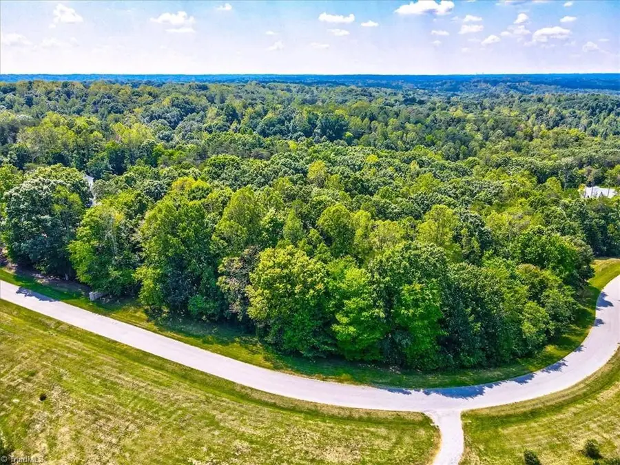 7335 Hidden View Drive, Oak Ridge, NC 27310 - #2
