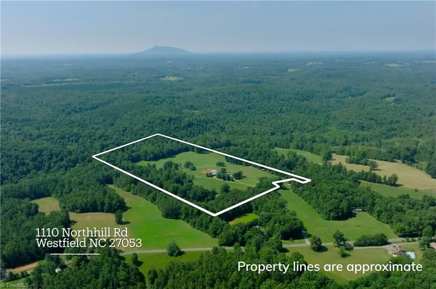 3505 Nc Highway 66 S, Westfield, NC 27053 - #2