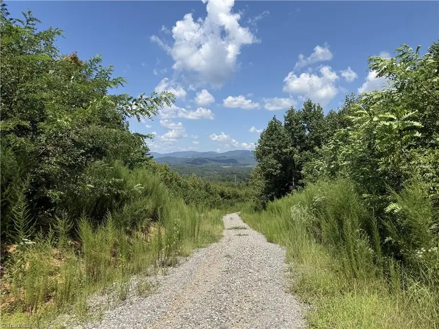 Off Bauguess Mill Road, Traphill, NC 28685 - #2