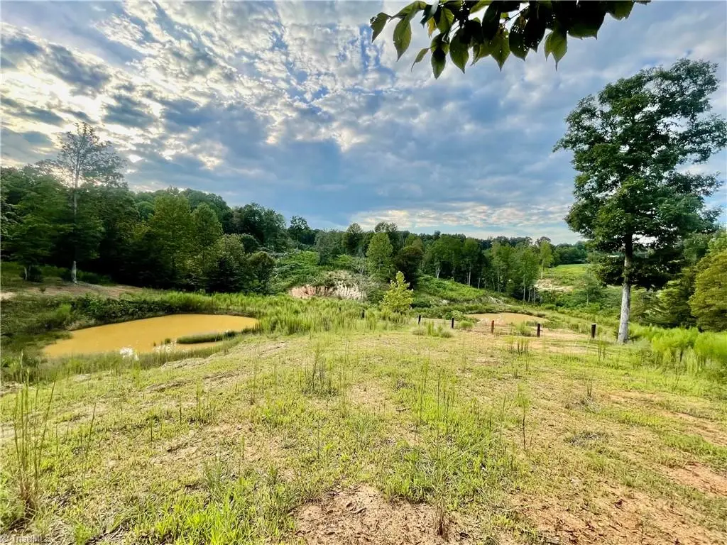 TBD Ellas Lane, Roaring River, NC 28669 - #1