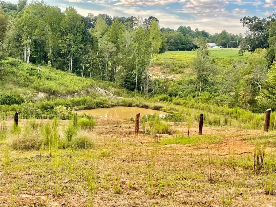 TBD Ellas Lane, Roaring River, NC 28669 - #3