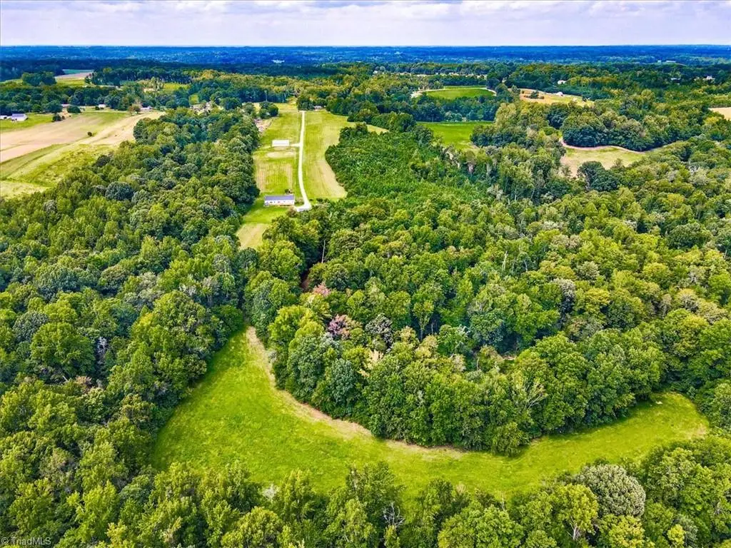 5954 Apple Wyrick Road, Gibsonville, NC 27249 - #1