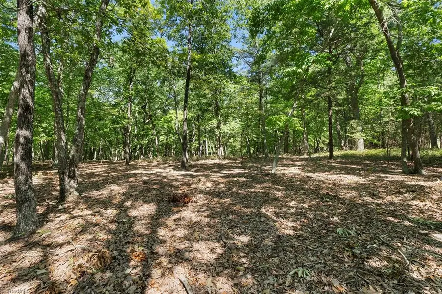 686 Palisade Trail, Denton, NC 27239 - #3