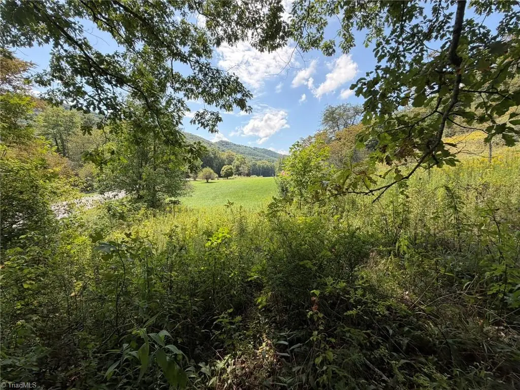 108 E Mill Creek Road, Old Fields, NC 28684 - #1