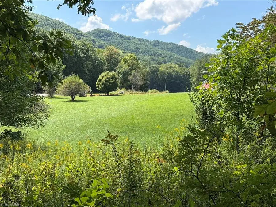 108 E Mill Creek Road, Old Fields, NC 28684 - #2