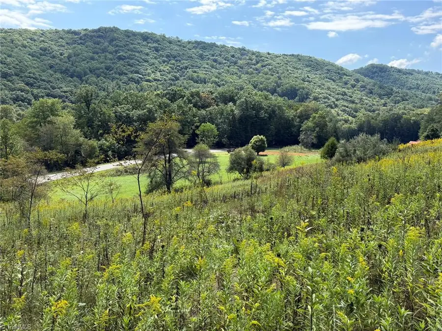 108-B E Mill Creek Road, Old Fields, NC 28684 - #2