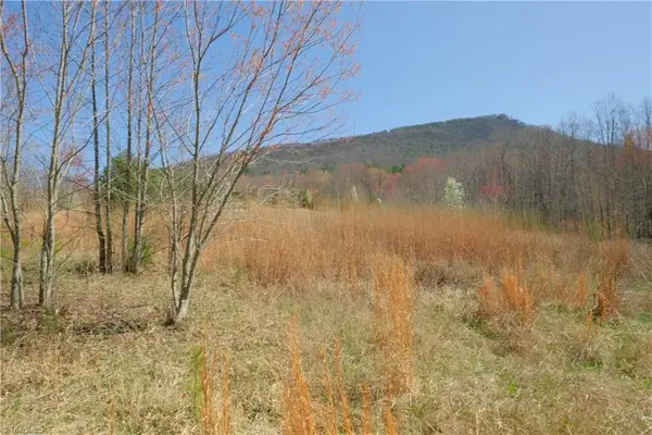 7 Old Mill Road, Pinnacle, NC 27043