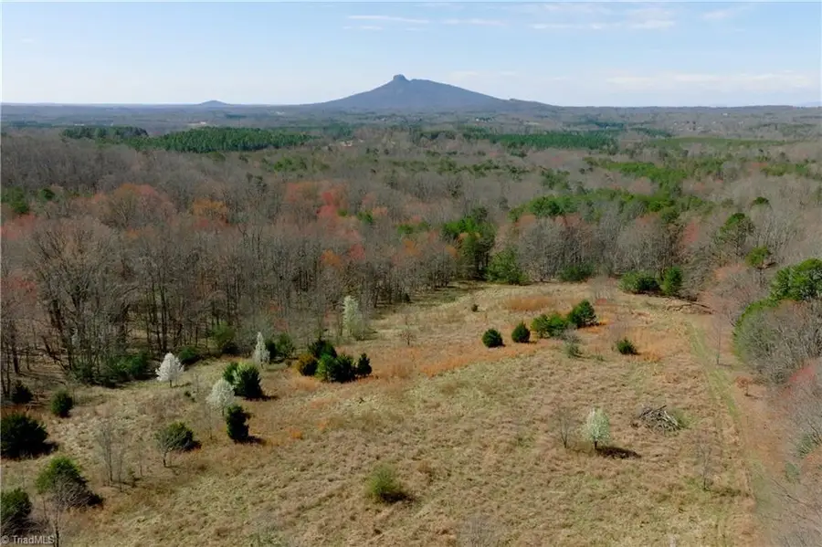 7 Old Mill Road, Pinnacle, NC 27043 - #3