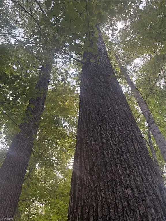 Lot 1 Edgewood Road, Wilkesboro, NC 28697