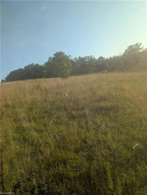 TBT Nc Highway 49, Denton, NC 27239 - #3