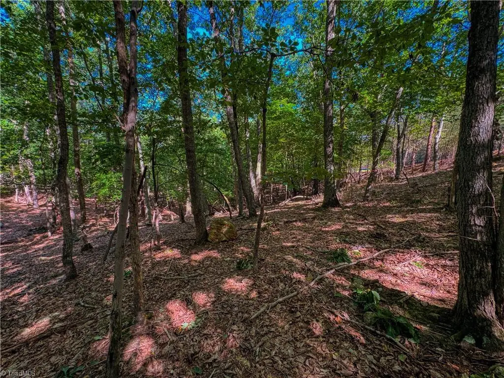 784 Palisade Trail, Denton, NC 27239 - #1