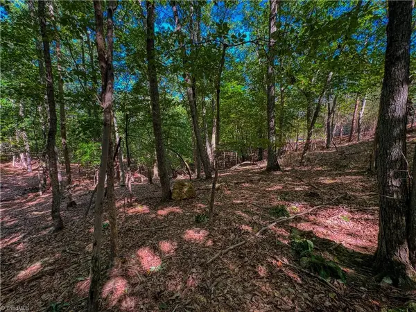 784 Palisade Trail, Denton, NC 27239