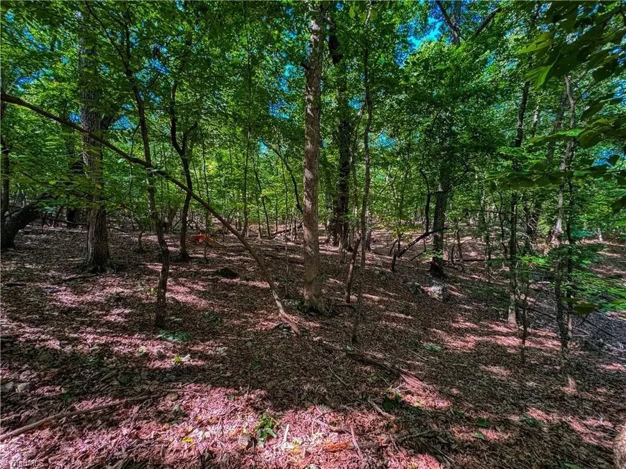 784 Palisade Trail, Denton, NC 27239 - #2