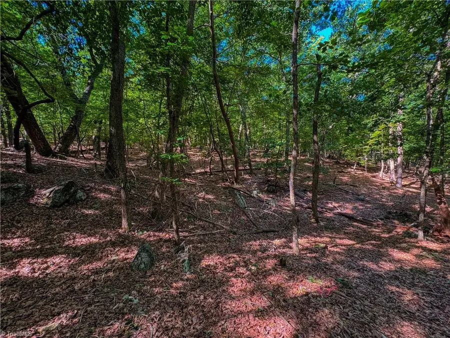 784 Palisade Trail, Denton, NC 27239 - #3