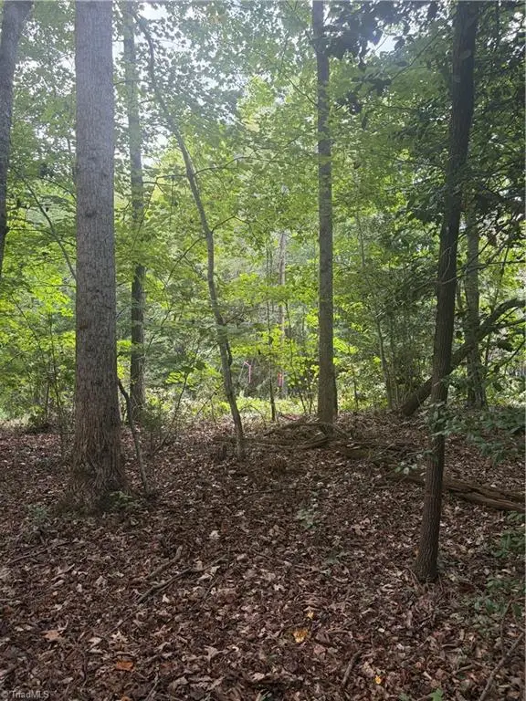Lot 4 Edgewood Road, Wilkesboro, NC 28697 - #3