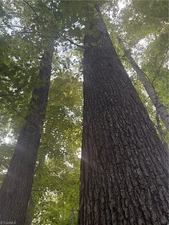 Lot 5 Edgewood Road, Wilkesboro, NC 28697
