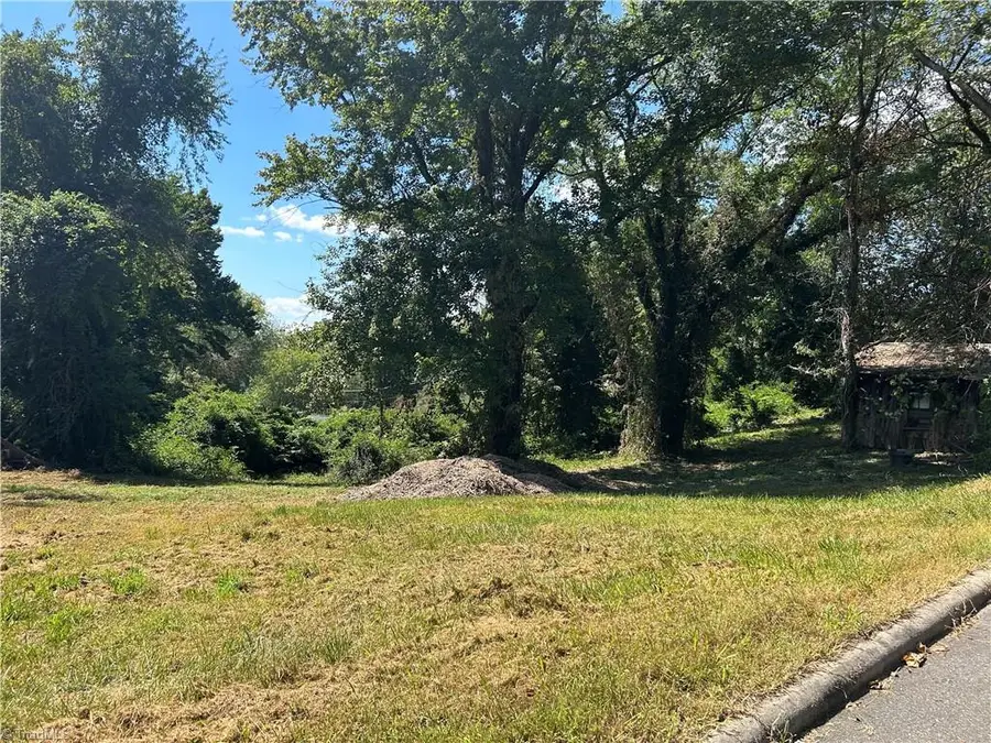 TBD Linville Road, Mount Airy, NC 27030 - #3