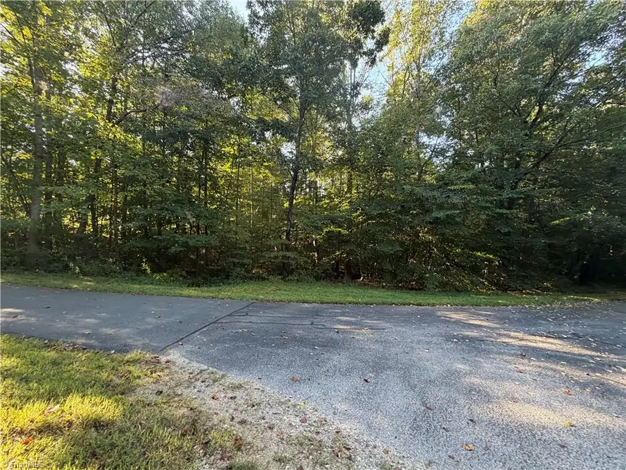 Lot 29 Cabin Cove Lane, Moravian Falls, NC 28654 - #2