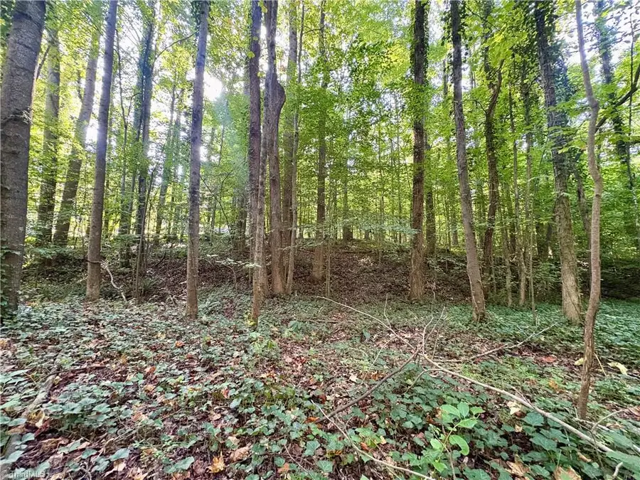 8101 Deverow Court, Lewisville, NC 27023 - #3