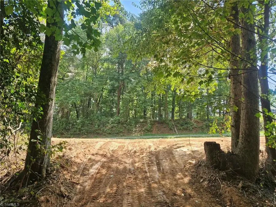 TBD Luffman Road, Ronda, NC 28670 - #2