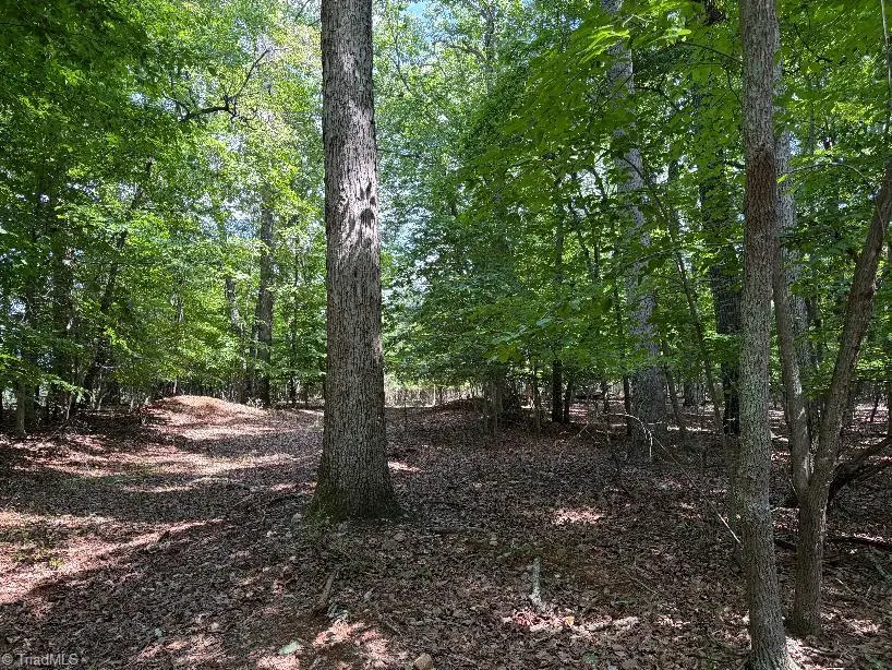 00 Bear Creek Church Road, Mocksville, NC 27028 - #1