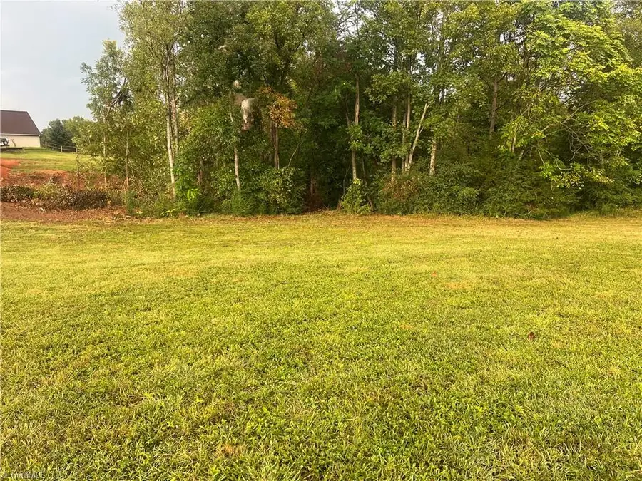 TBD Stanford Church Road, Siloam, NC 27030 - #3