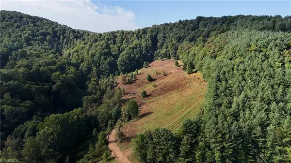 00 Lot 105 Irwin Grocery Road, Laurel Springs, NC 28644