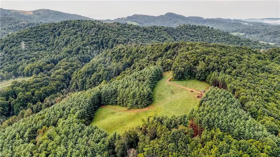 00 Lot 18 New Hope Church Road, Laurel Springs, NC 28644 - #2