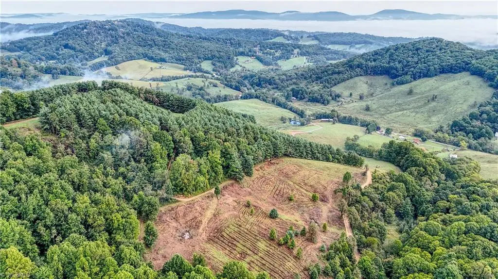 00 Lot 19 New Hope Church Road, Laurel Springs, NC 28644 - #1