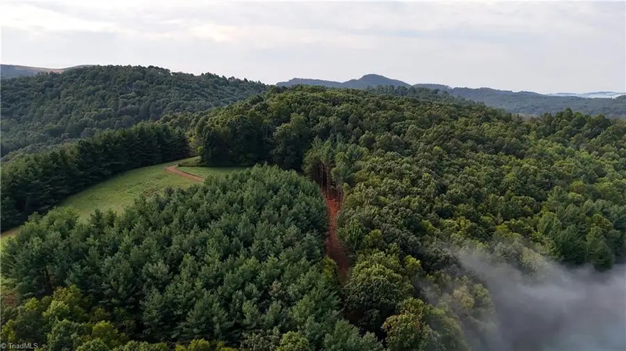 00 Lot 20 New Hope Church Road, Laurel Springs, NC 28644 - #2