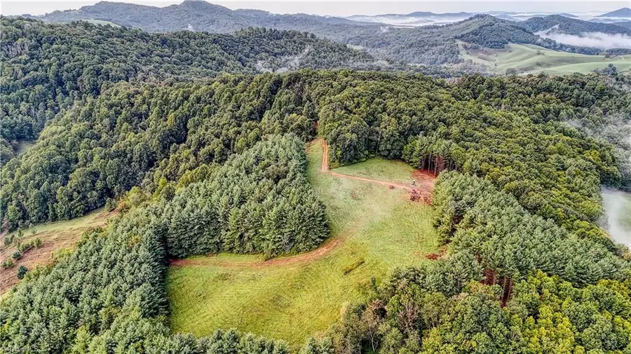 00 Lot 20 New Hope Church Road, Laurel Springs, NC 28644 - #3