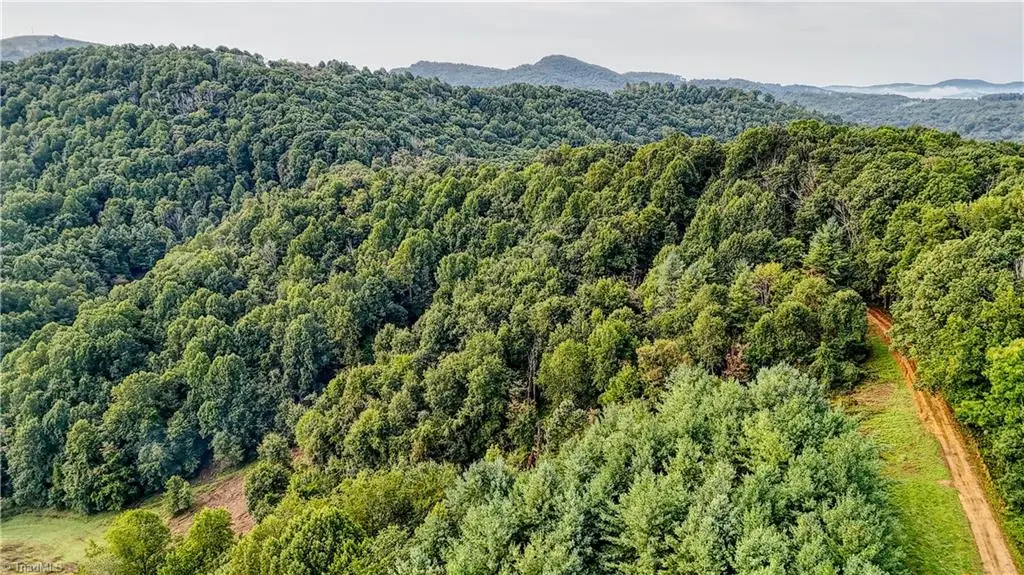 00 Lot 27 New Hope Church Road, Laurel Springs, NC 28644 - #1