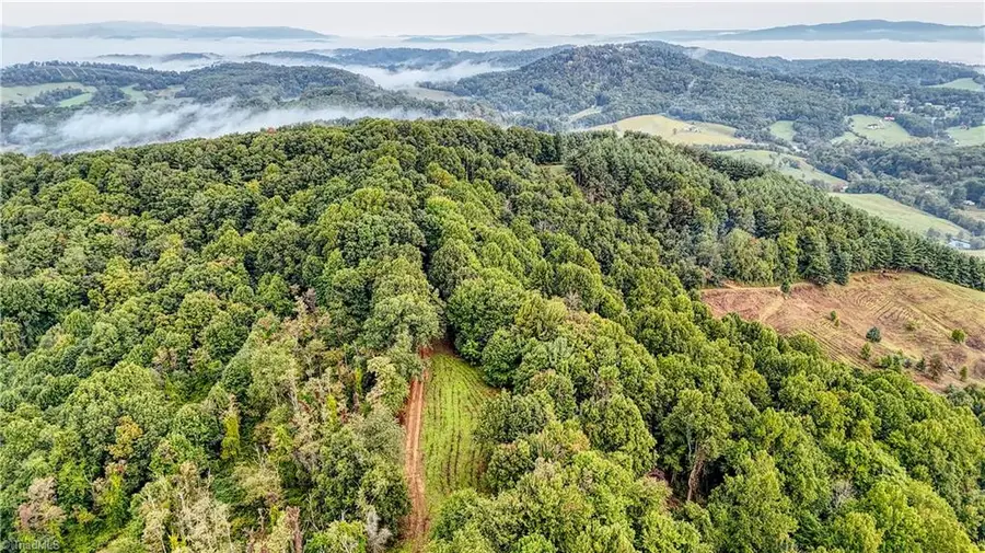 00 Lot 27 New Hope Church Road, Laurel Springs, NC 28644 - #2