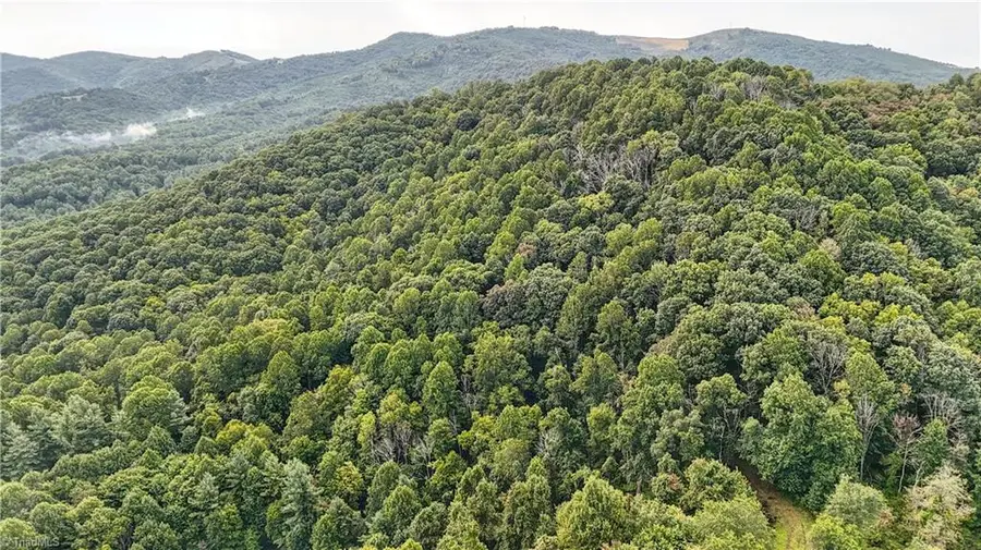 00 Lot 27 New Hope Church Road, Laurel Springs, NC 28644 - #3