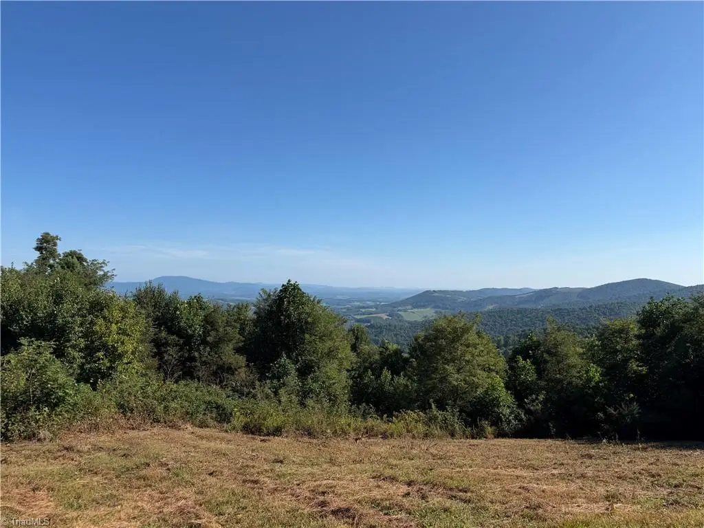 TBD Irwin Grocery Road, Laurel Springs, NC 28644 - #1