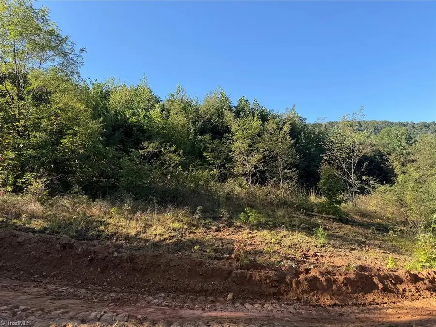 TBD Irwin Grocery Road, Laurel Springs, NC 28644 - #3