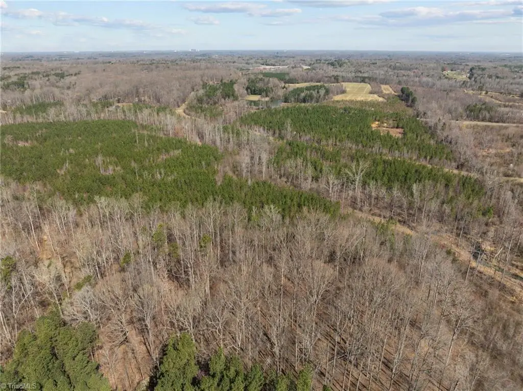 2630 Minden Road, Pleasant Garden, NC 27313 - #1