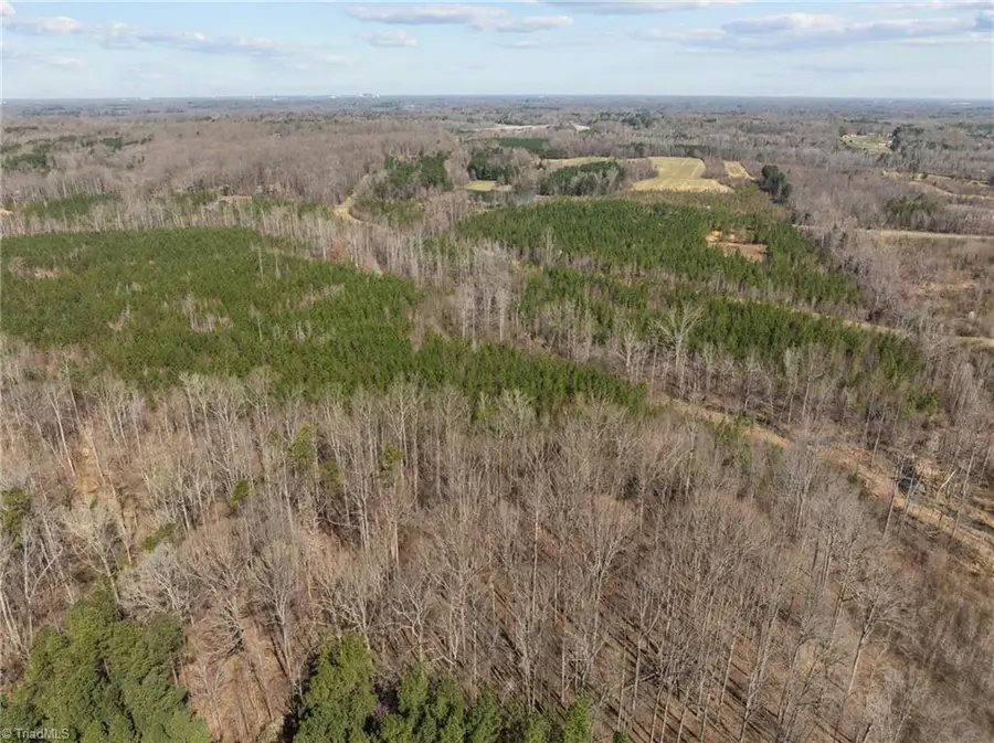 2646 Minden Road, Pleasant Garden, NC 27313 - #3