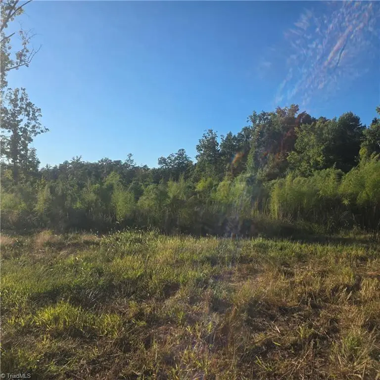 3655 Mack Lineberry Road, Franklinville, NC 27248 - #2