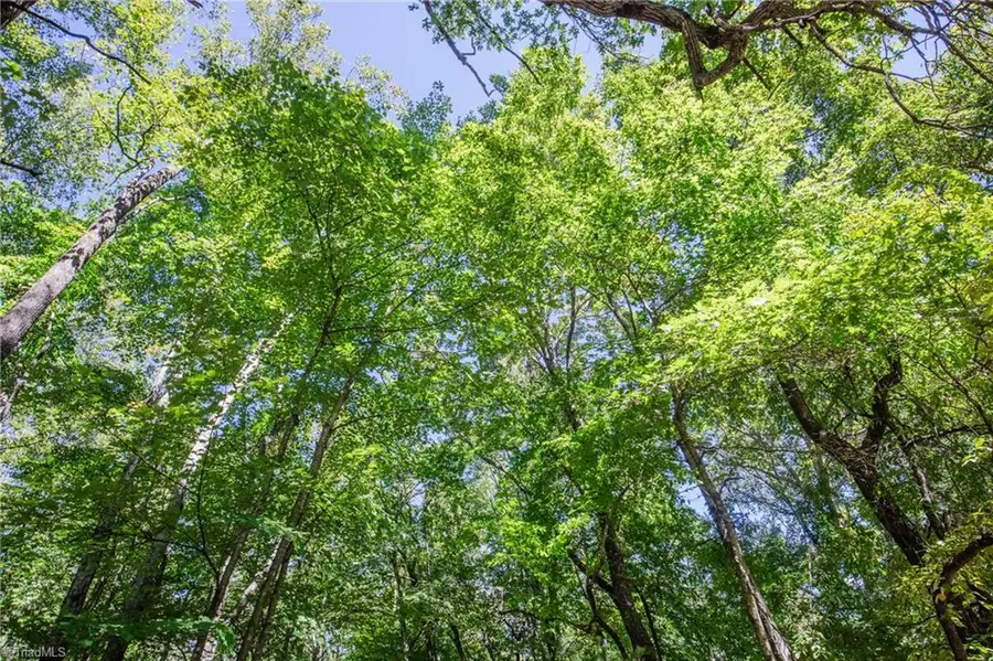 00 Sutters Ridge Road, McGrady, NC 28649 - #3