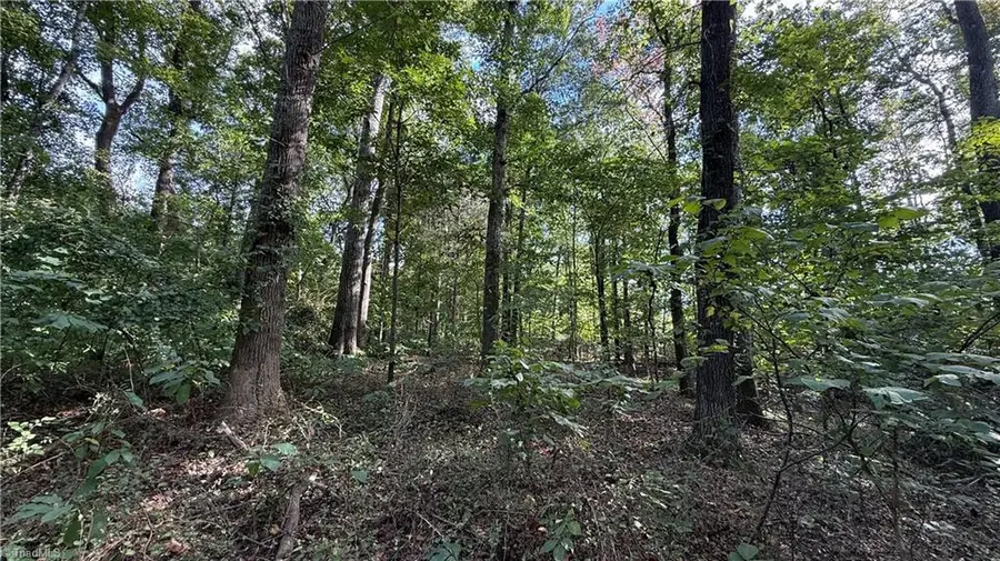 0 Lonita Street, Archdale, NC 27263 - #2