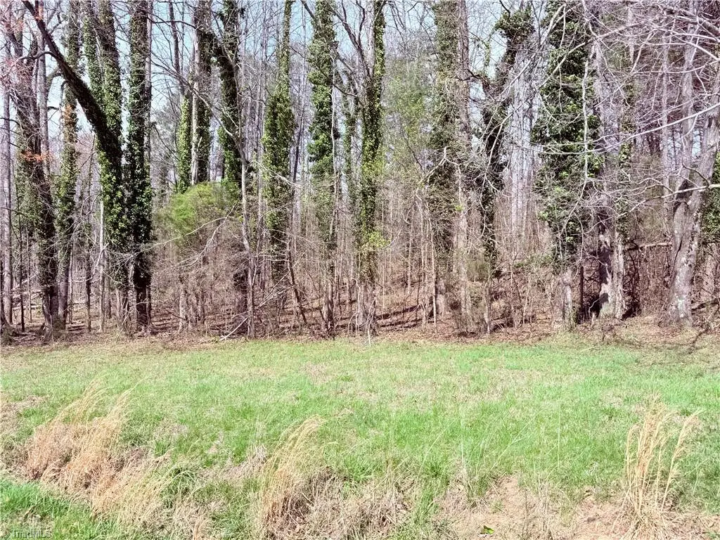 00 Ponderosa Road, Stoneville, NC 27048 - #1