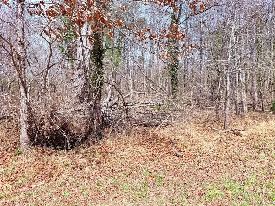 00 Ponderosa Road, Stoneville, NC 27048 - #2