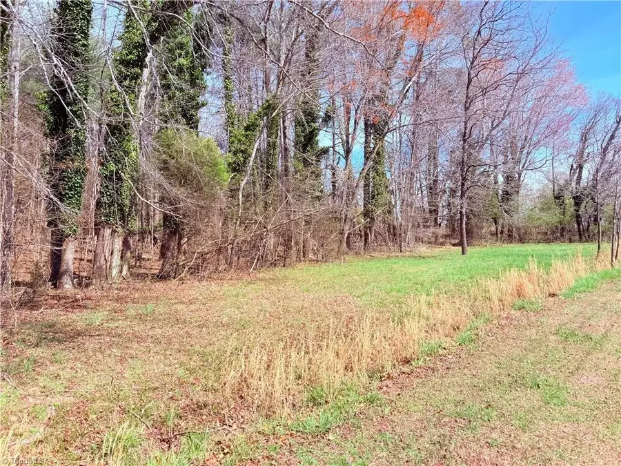 00 Ponderosa Road, Stoneville, NC 27048 - #3